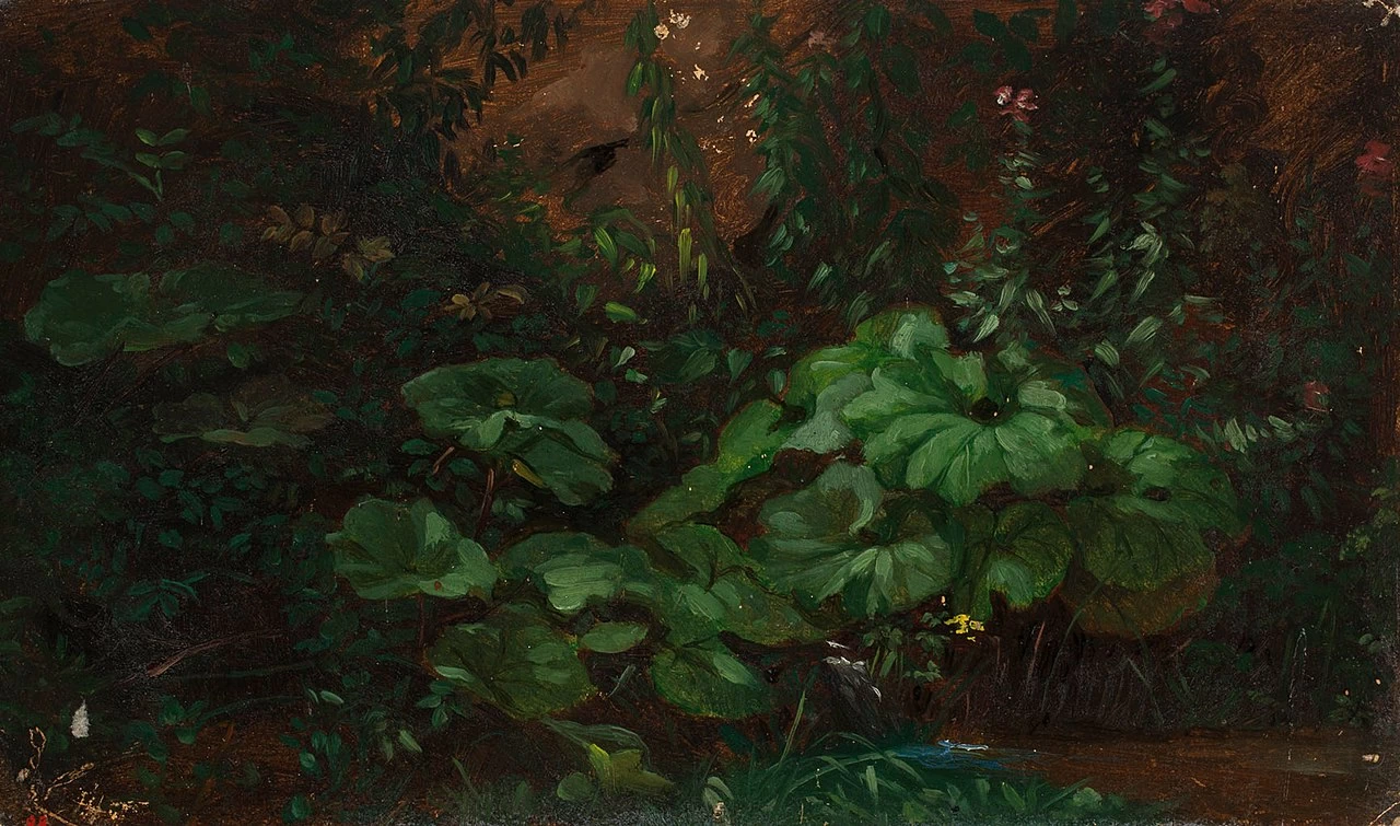 Studio di foglie - Finnish National Gallery